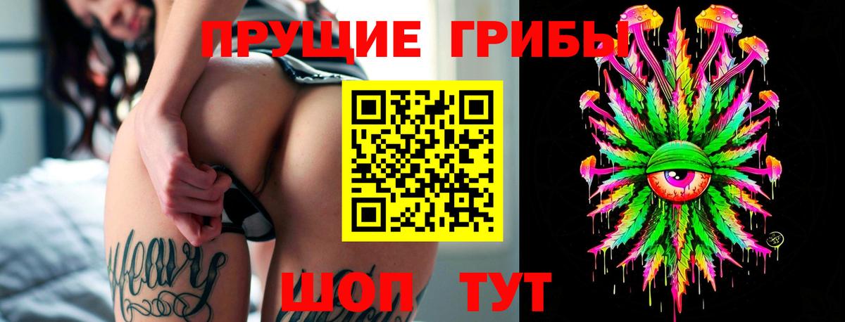 Псилоцибиновые грибы прущие грибы  Псилоцибиновые грибы прущие грибы  Кореновск  сколько стоит  Вход с VPN 